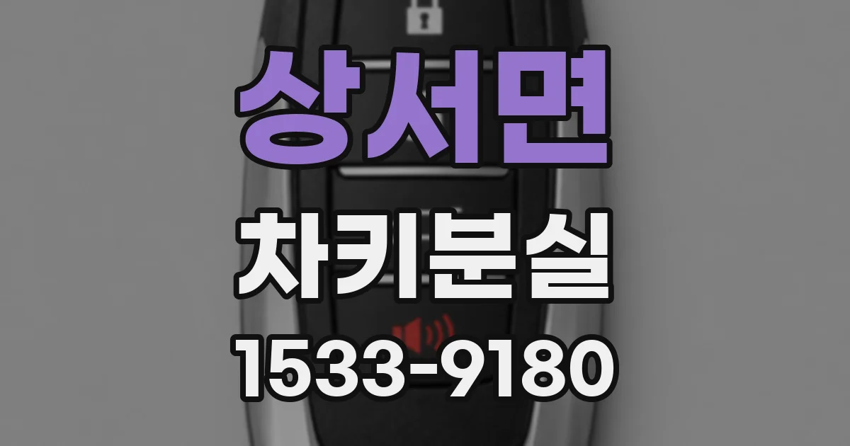 상서면 차키분실