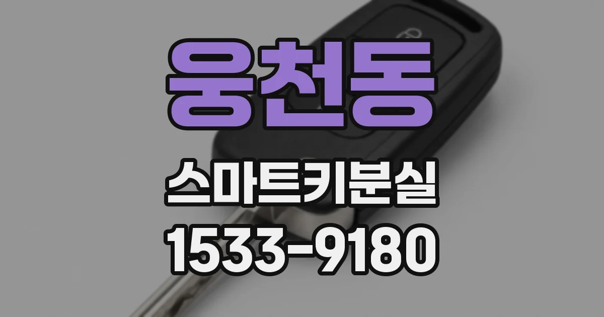 웅천동 스마트키분실