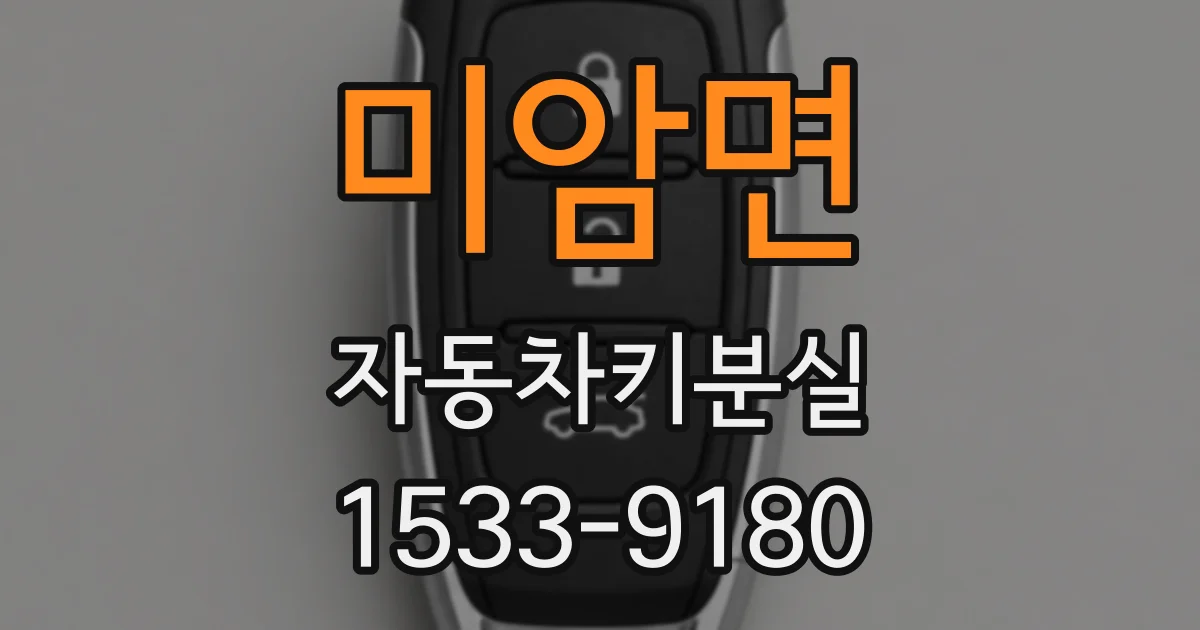 미암면 자동차키분실