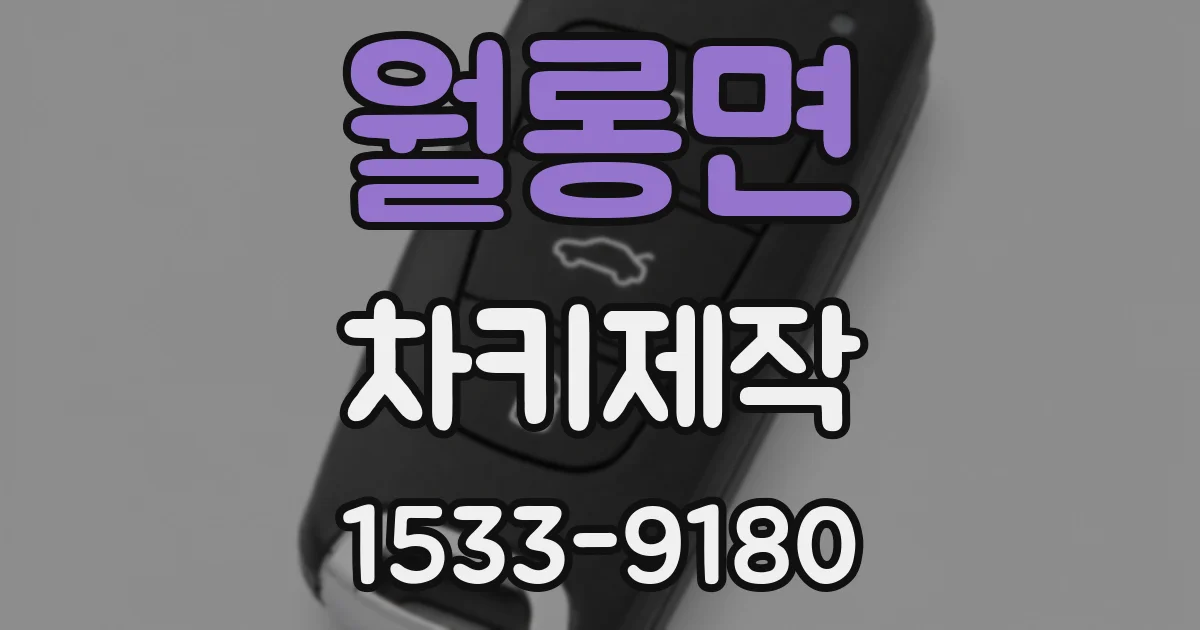 월롱면 차키제작
