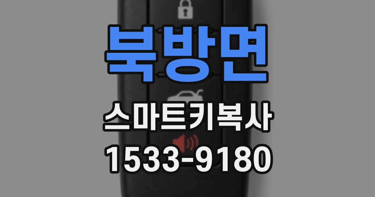 북방면 스마트키복사