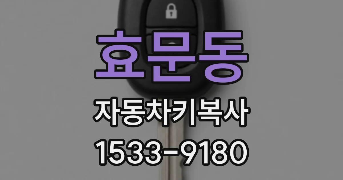 효문동 자동차키복사