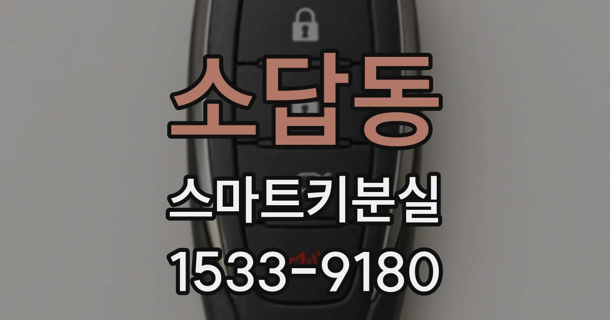 소답동 스마트키분실