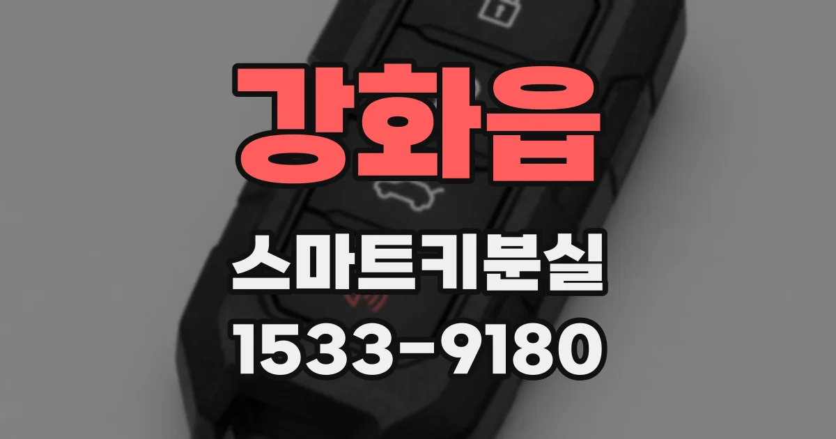 강화읍 스마트키분실