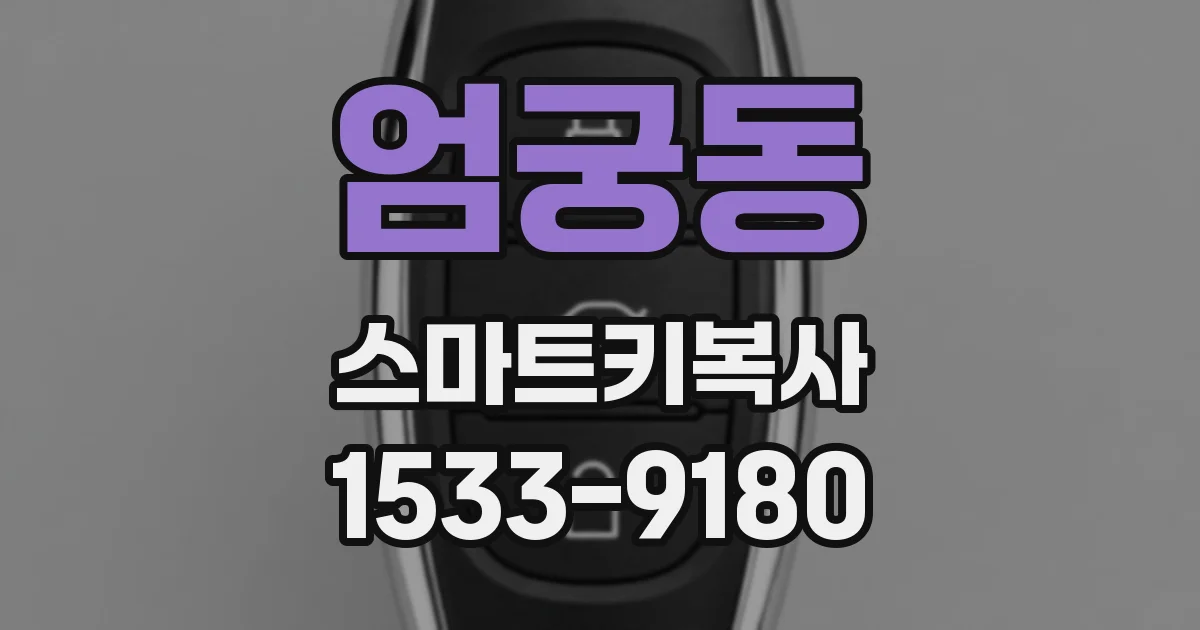 엄궁동 스마트키복사
