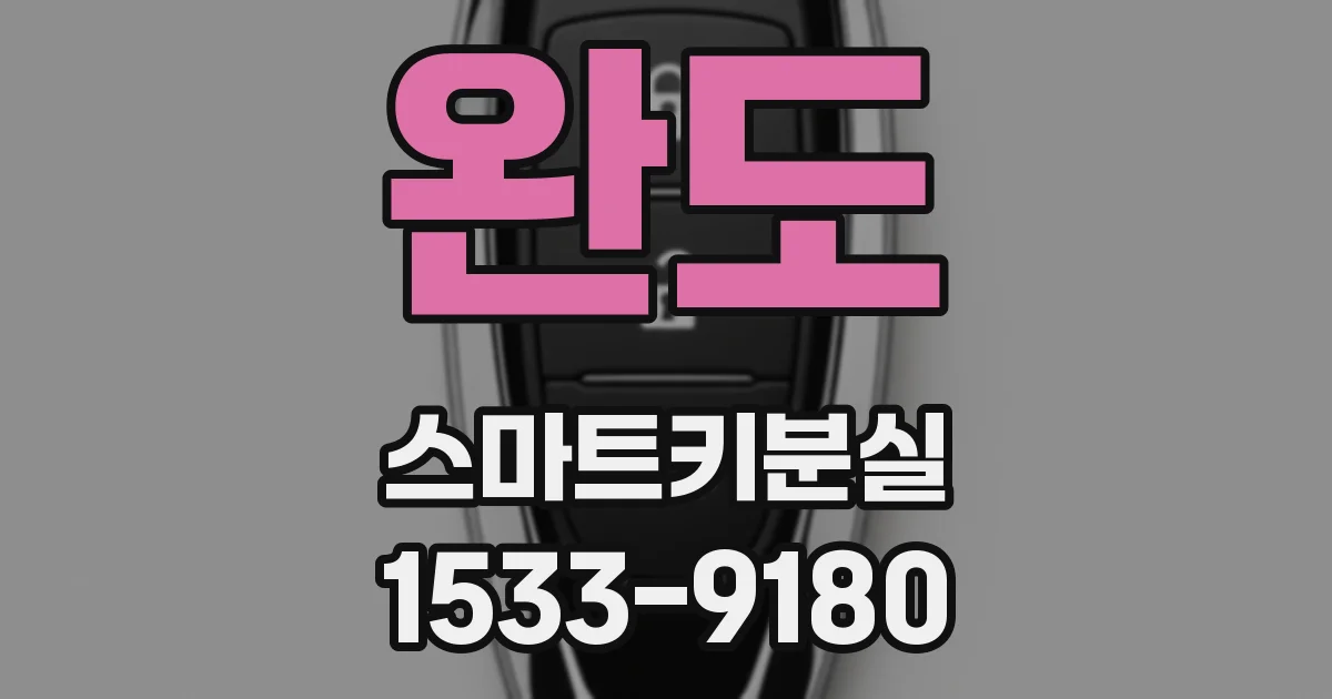 완도 스마트키분실