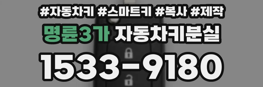 명륜3가 자동차키분실