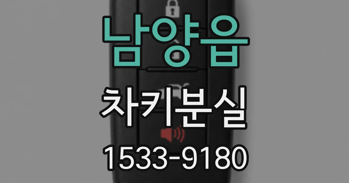 남양읍 차키분실