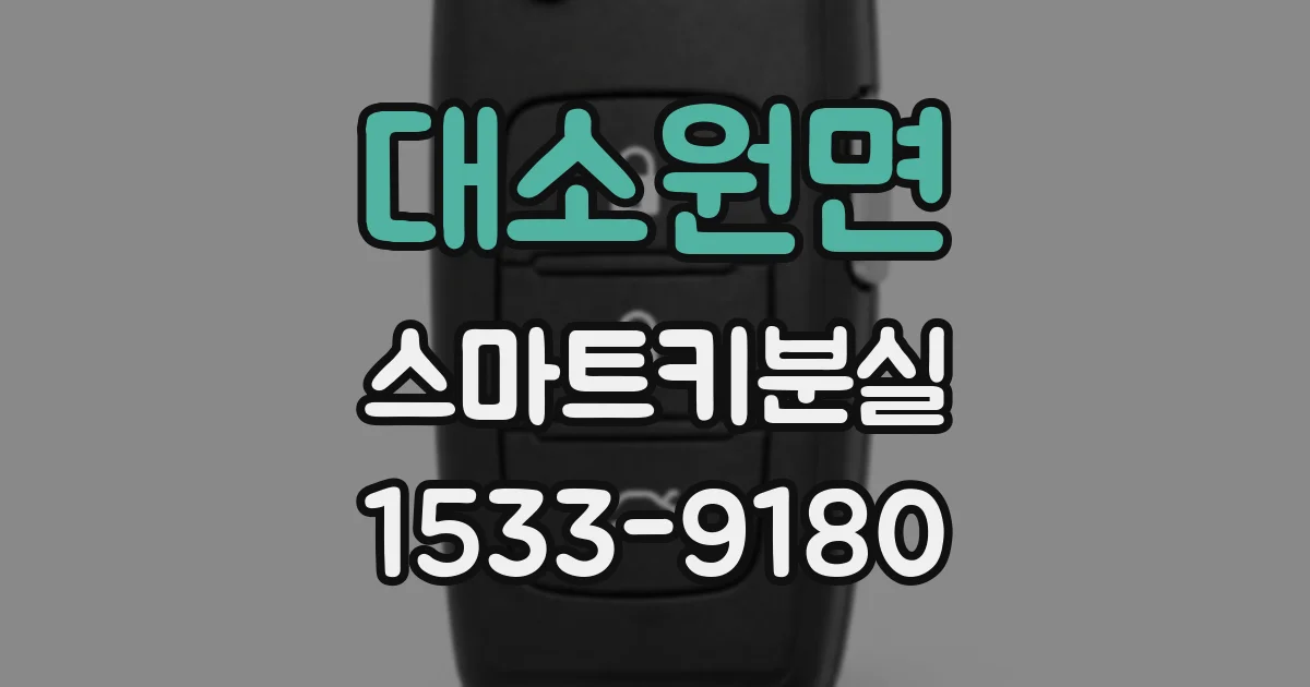대소원면 스마트키분실