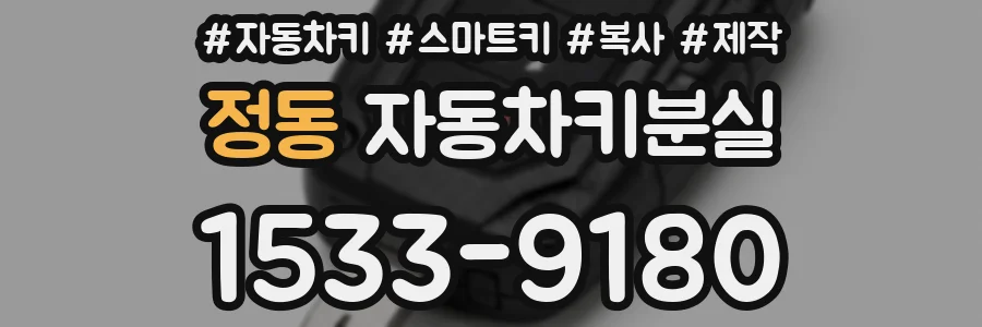 정동 자동차키분실