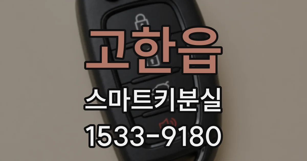 고한읍 스마트키분실