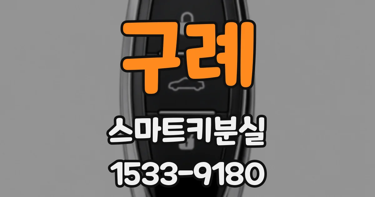 구례 스마트키분실