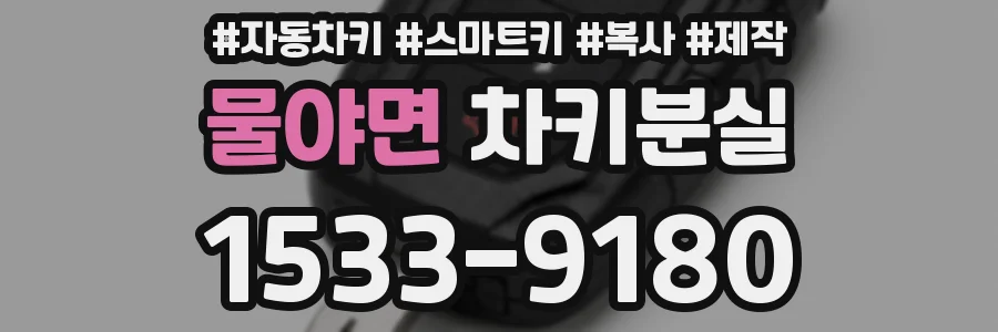물야면 차키분실