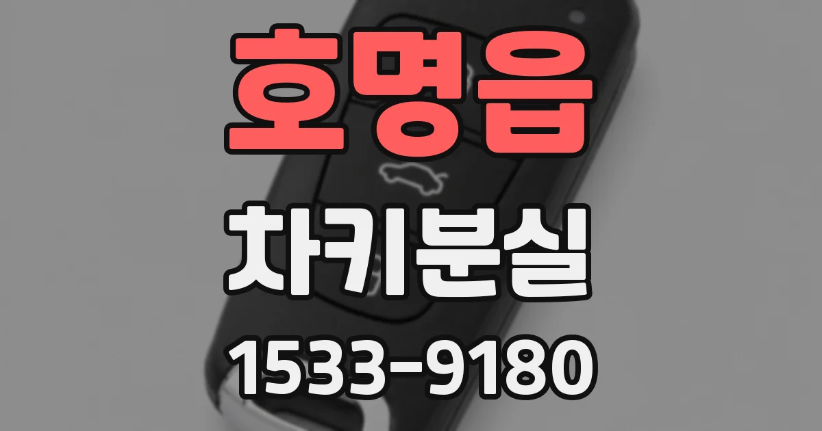 호명읍 차키분실