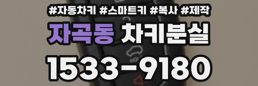 자곡동 차키분실