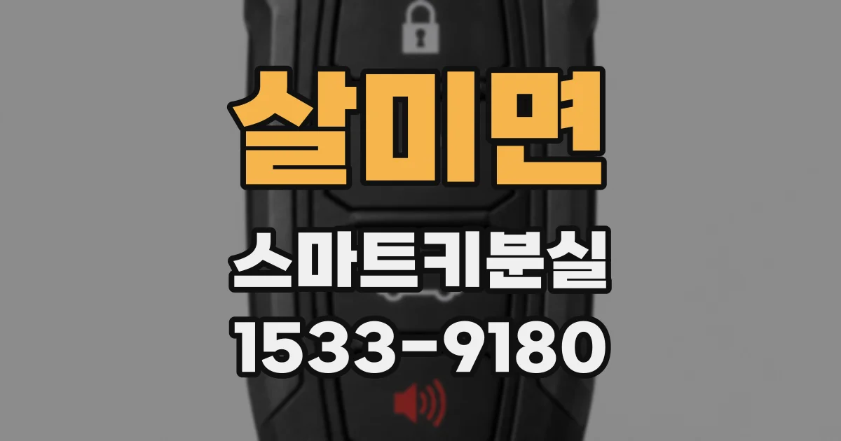 살미면 스마트키분실