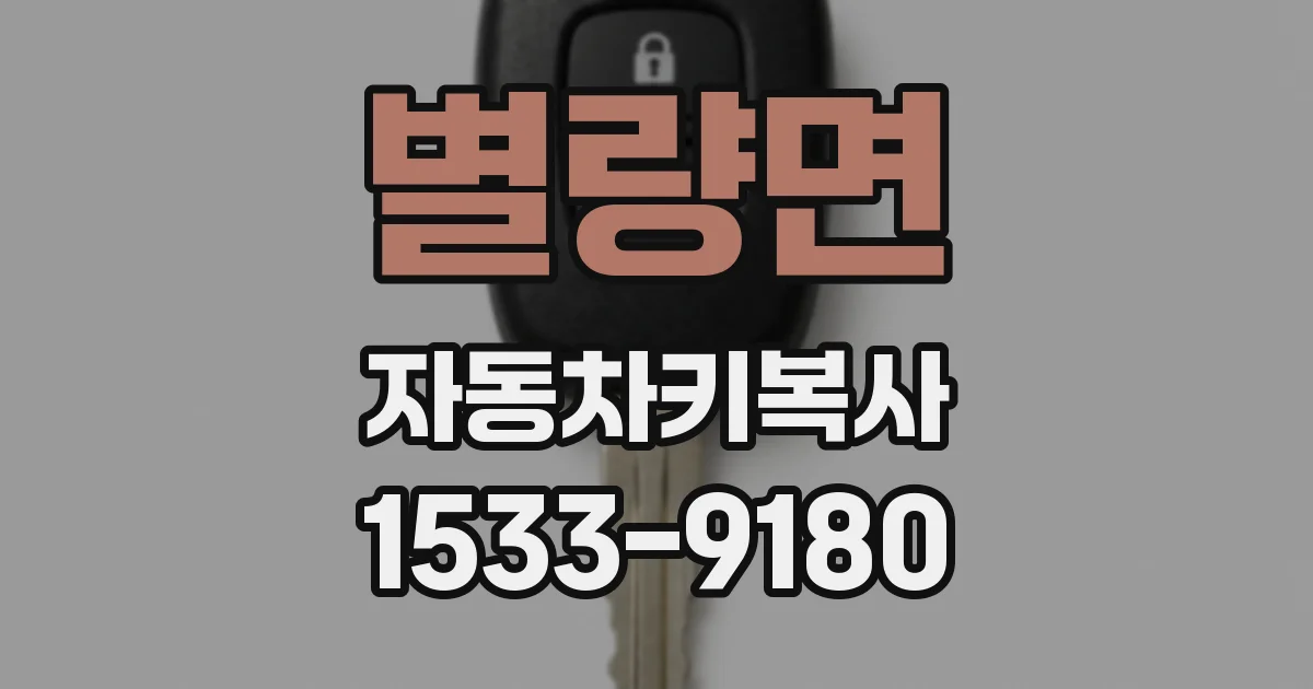 별량면 자동차키복사