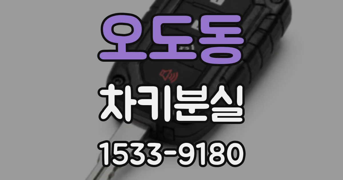 오도동 차키분실