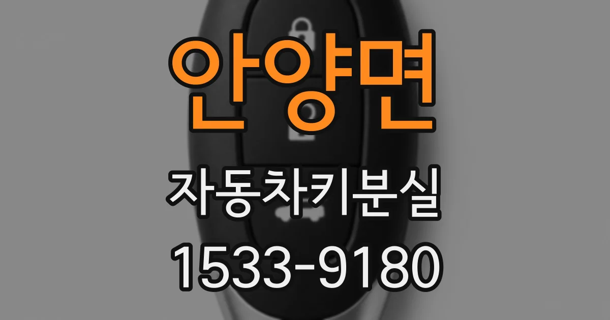 안양면 자동차키분실