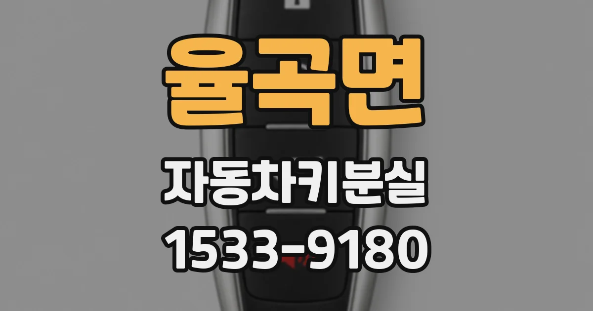 율곡면 자동차키분실