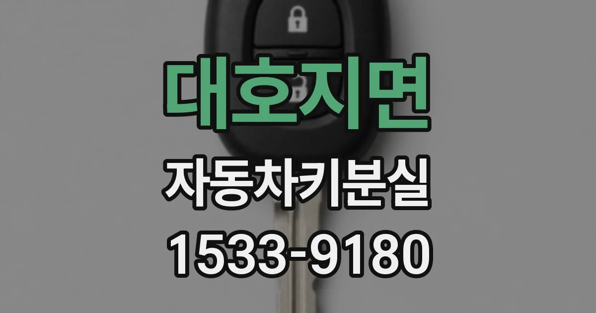 대호지면 자동차키분실