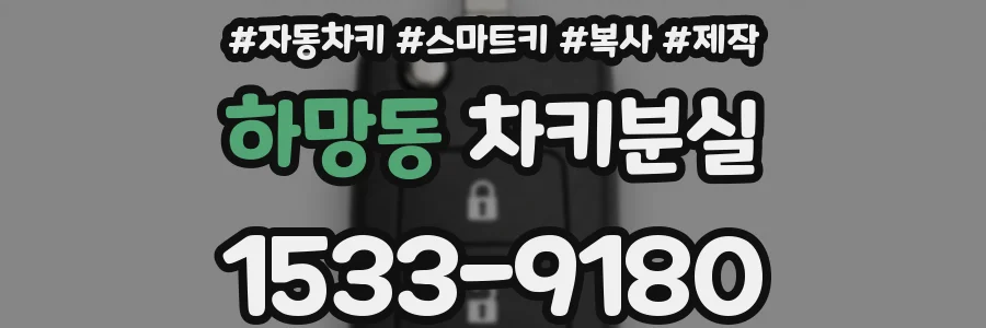 하망동 차키분실