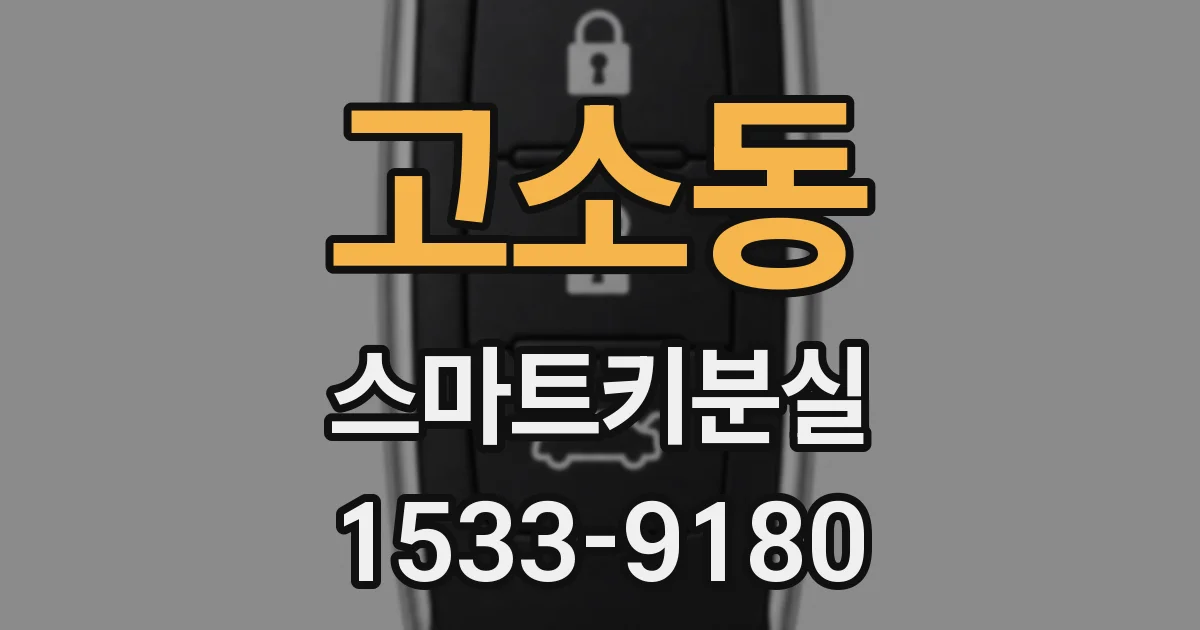 고소동 스마트키분실