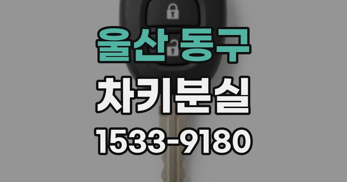 울산 동구 차키분실