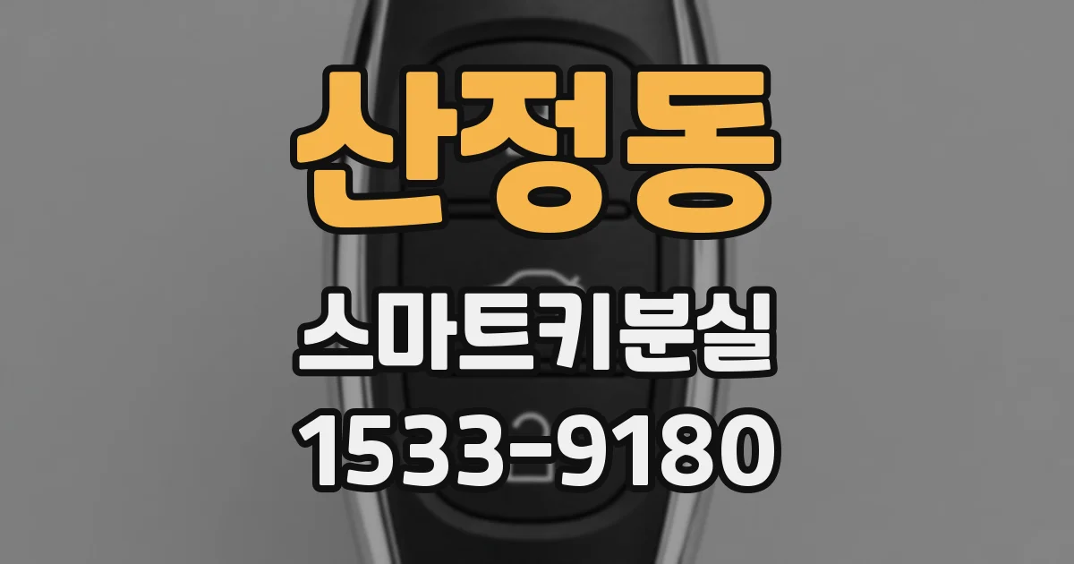 산정동 스마트키분실