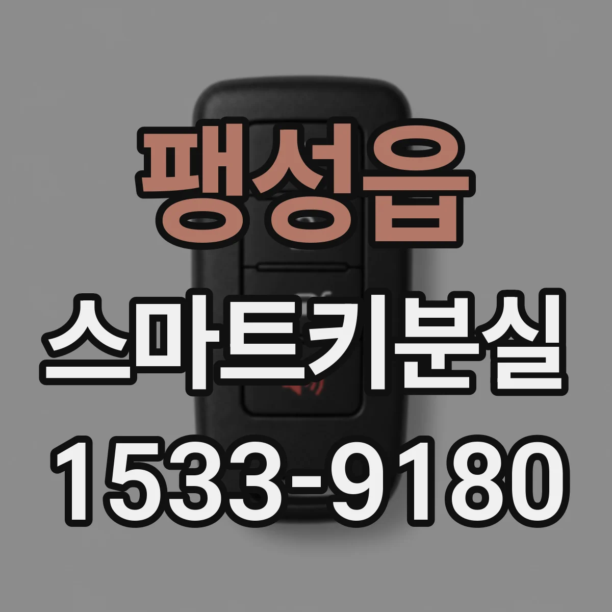 팽성읍 스마트키분실