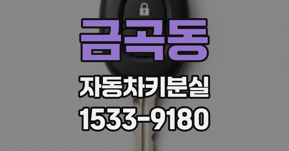 금곡동 자동차키분실