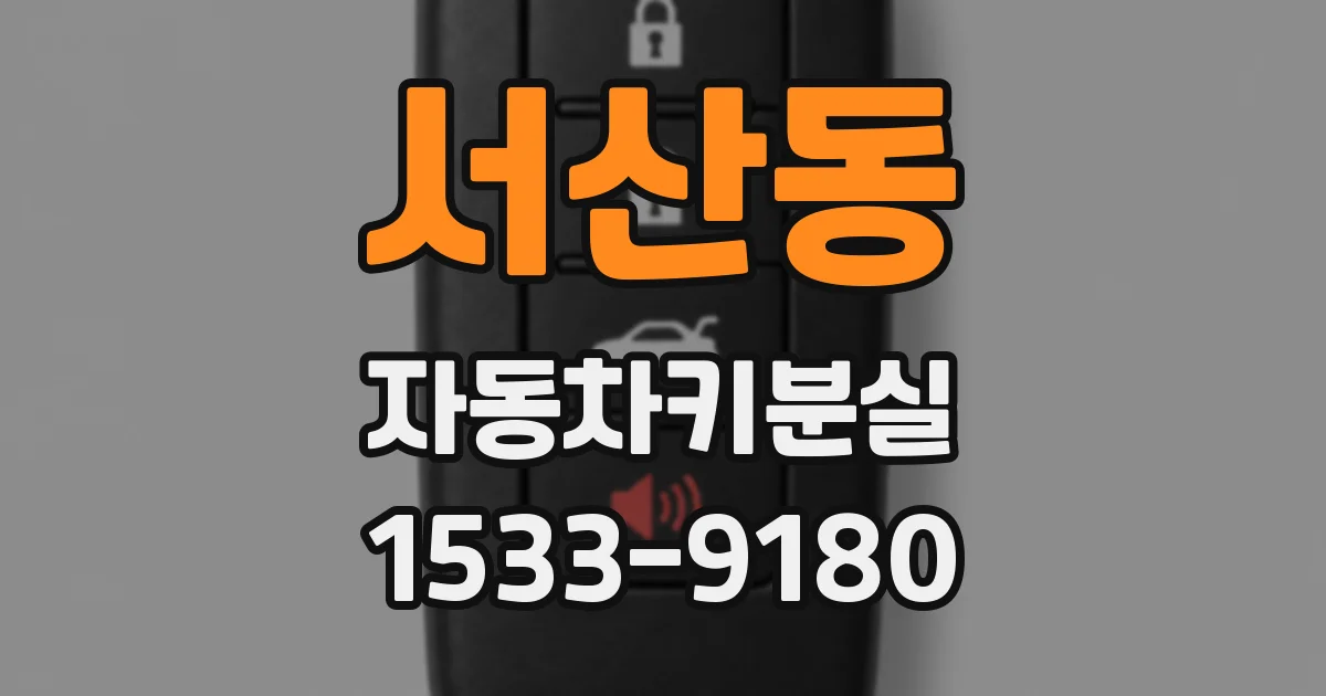 서산동 자동차키분실