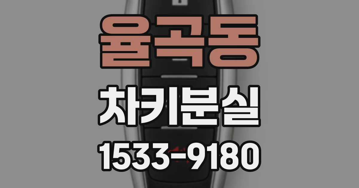 율곡동 차키분실