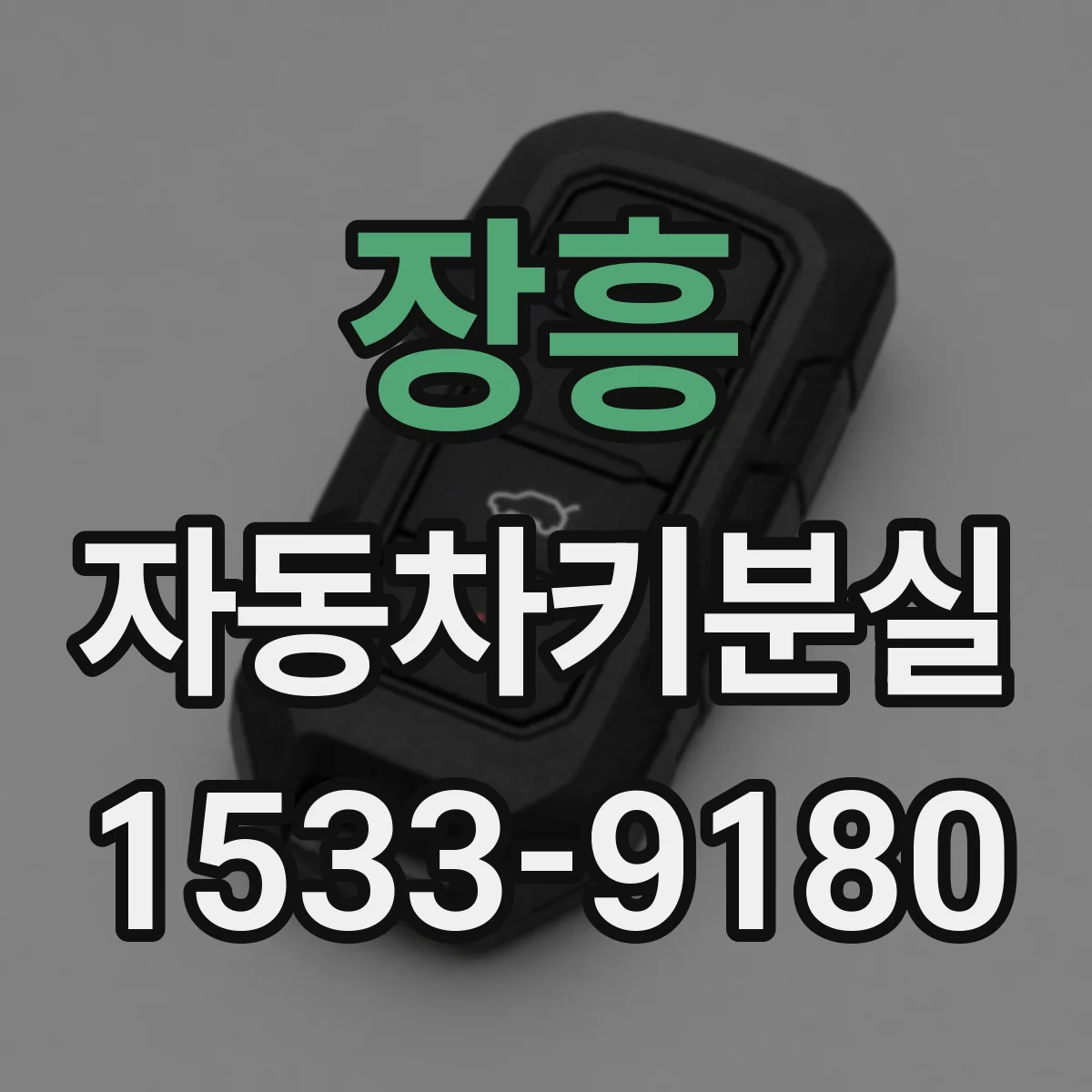 장흥 자동차키분실