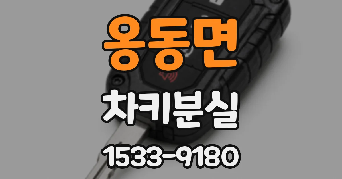 옹동면 차키분실