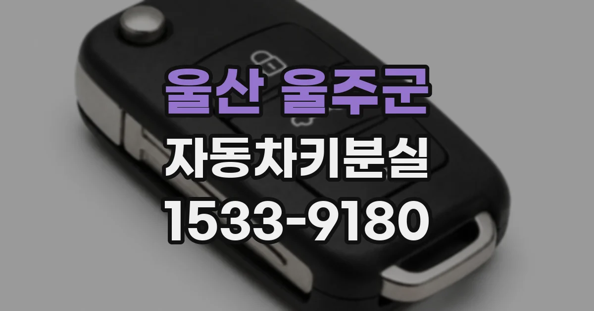울산 울주군 자동차키분실