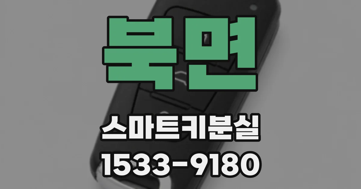 북면 스마트키분실