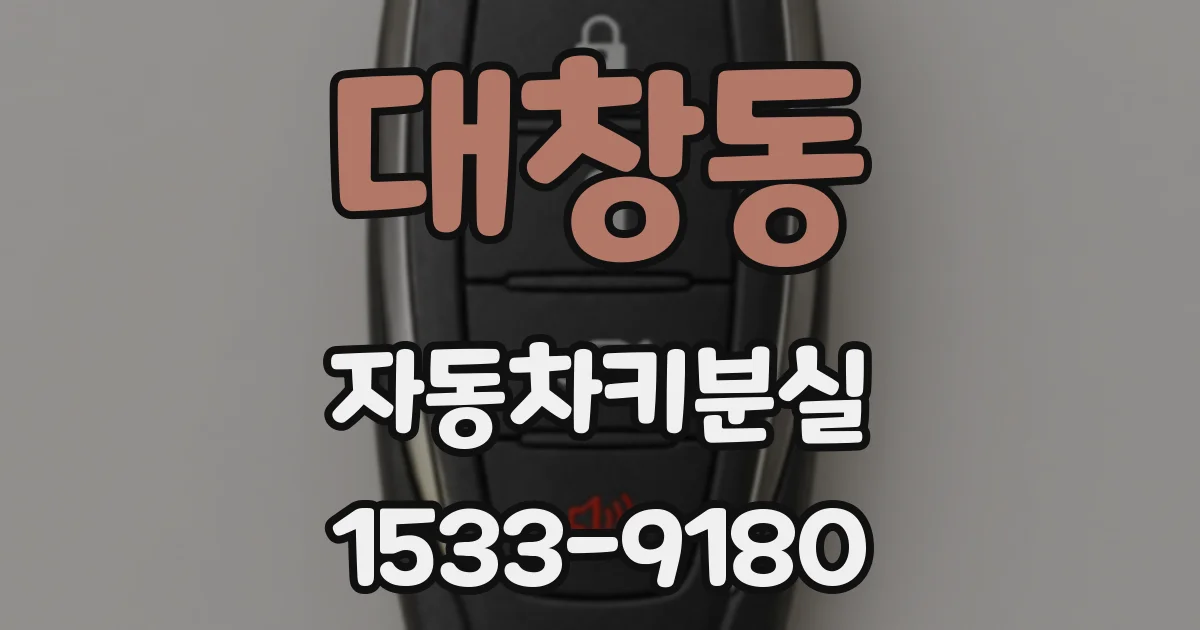 대창동 자동차키분실