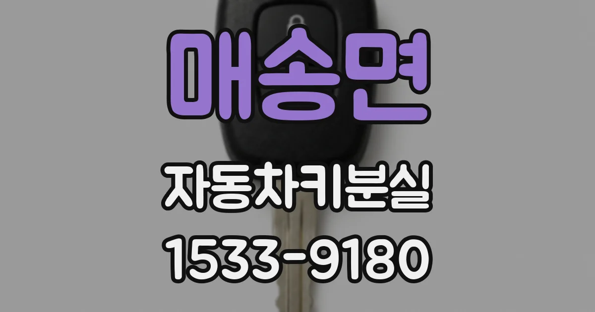 매송면 자동차키분실