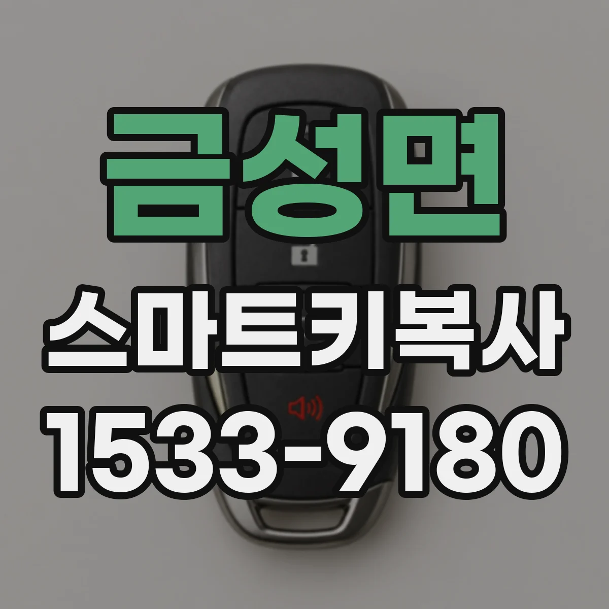 금성면 스마트키복사