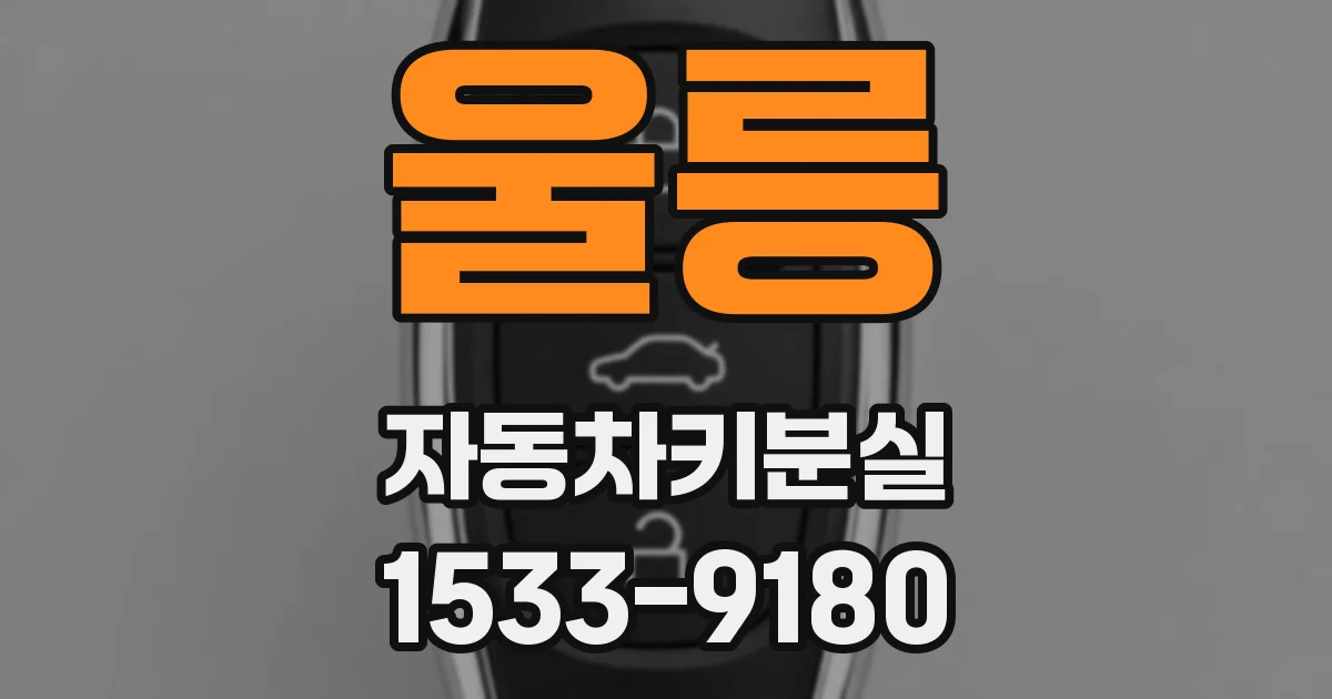 울릉 자동차키분실
