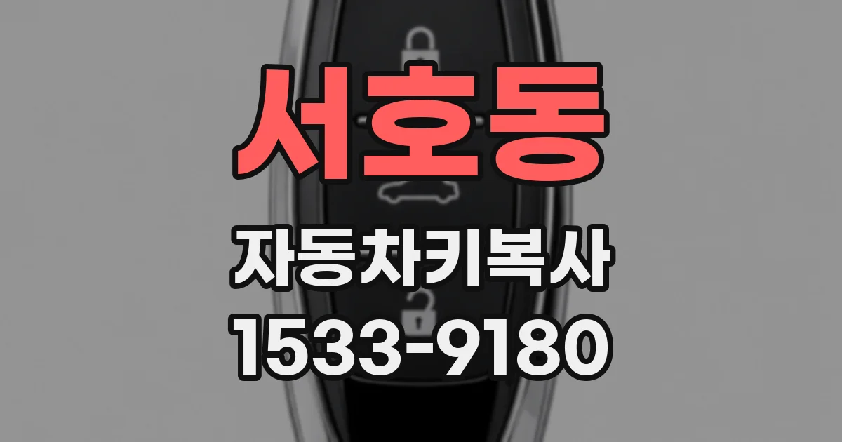 서호동 자동차키복사