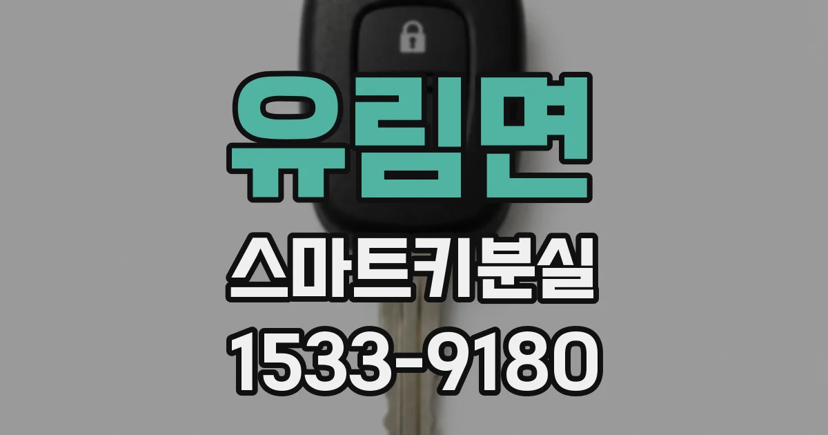 유림면 스마트키분실