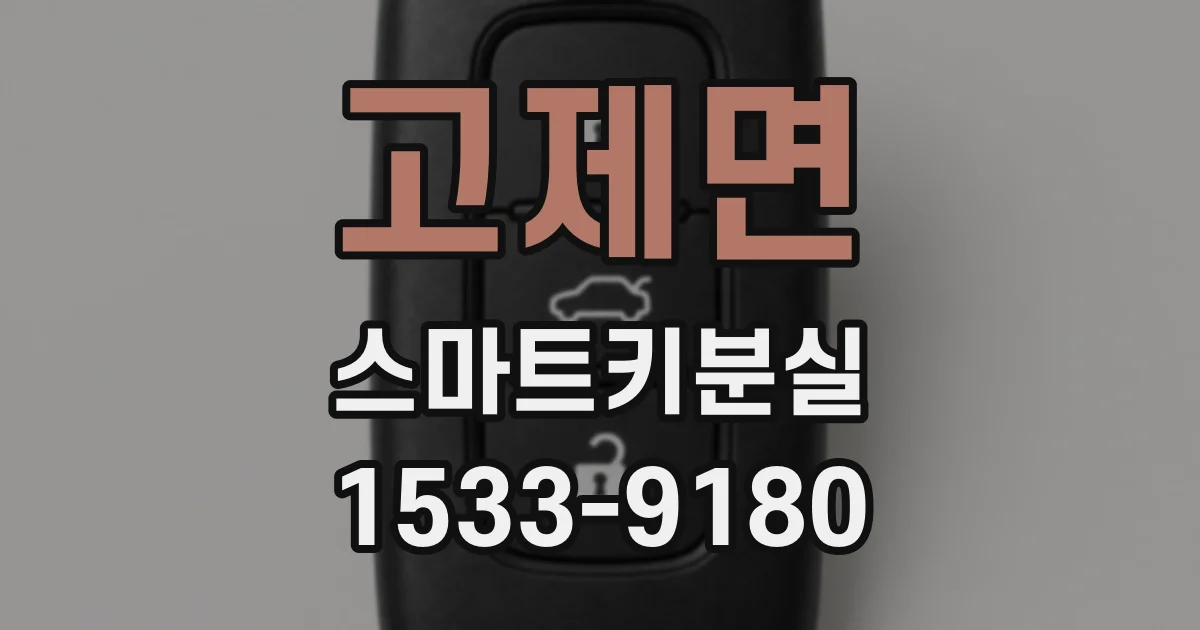 고제면 스마트키분실