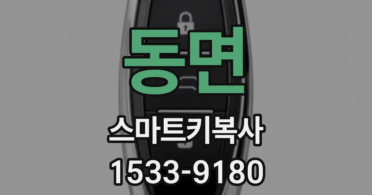 동면 스마트키복사