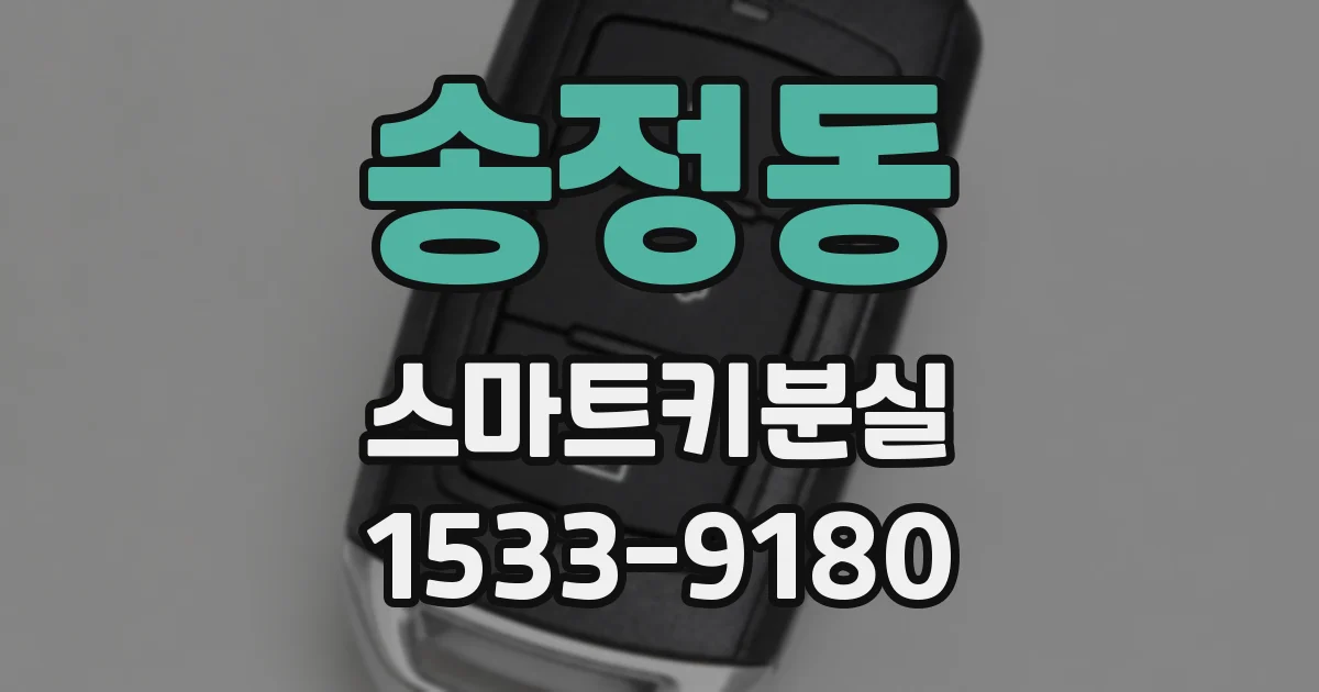 송정동 스마트키분실