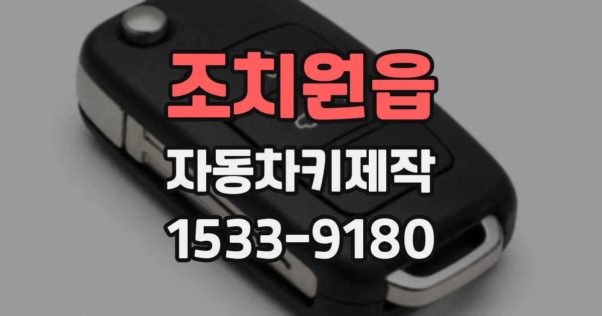 조치원읍 자동차키제작