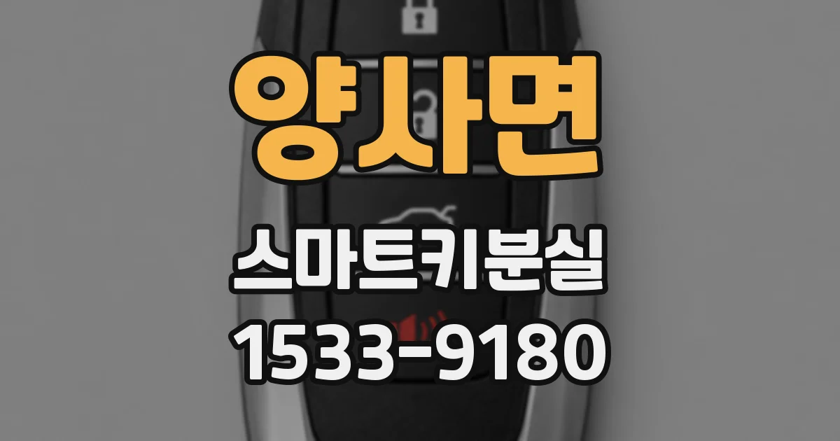 양사면 스마트키분실
