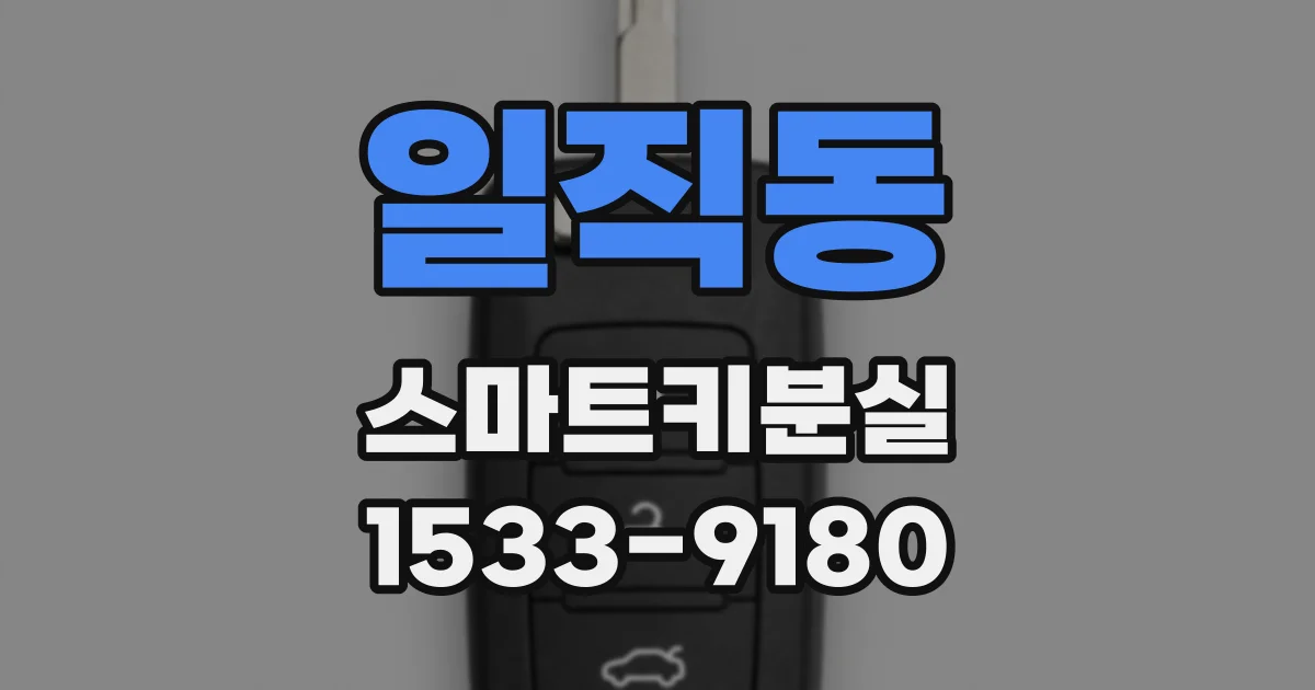 일직동 스마트키분실