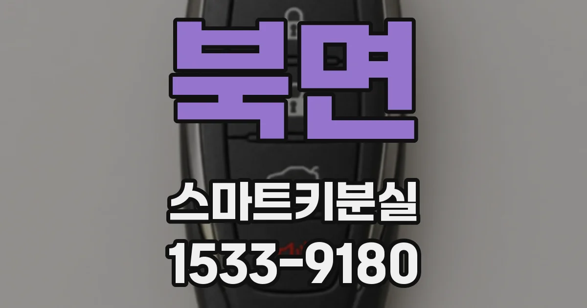 북면 스마트키분실